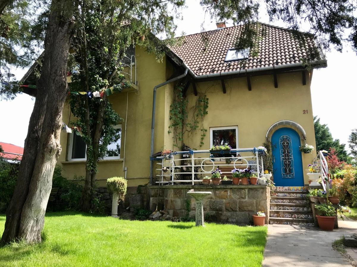 Lovely Nest Near Budapest 두나케스치 외부 사진