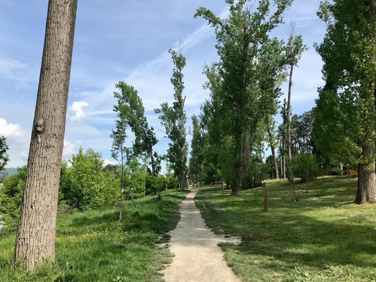 Lovely Nest Near Budapest 두나케스치 외부 사진